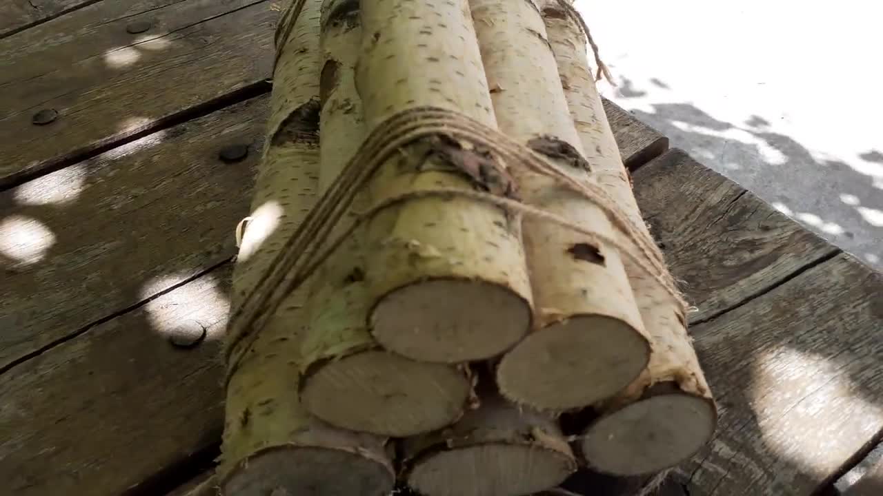 White Birch Logs 6 white birch logs, rustic craft supply, rustic