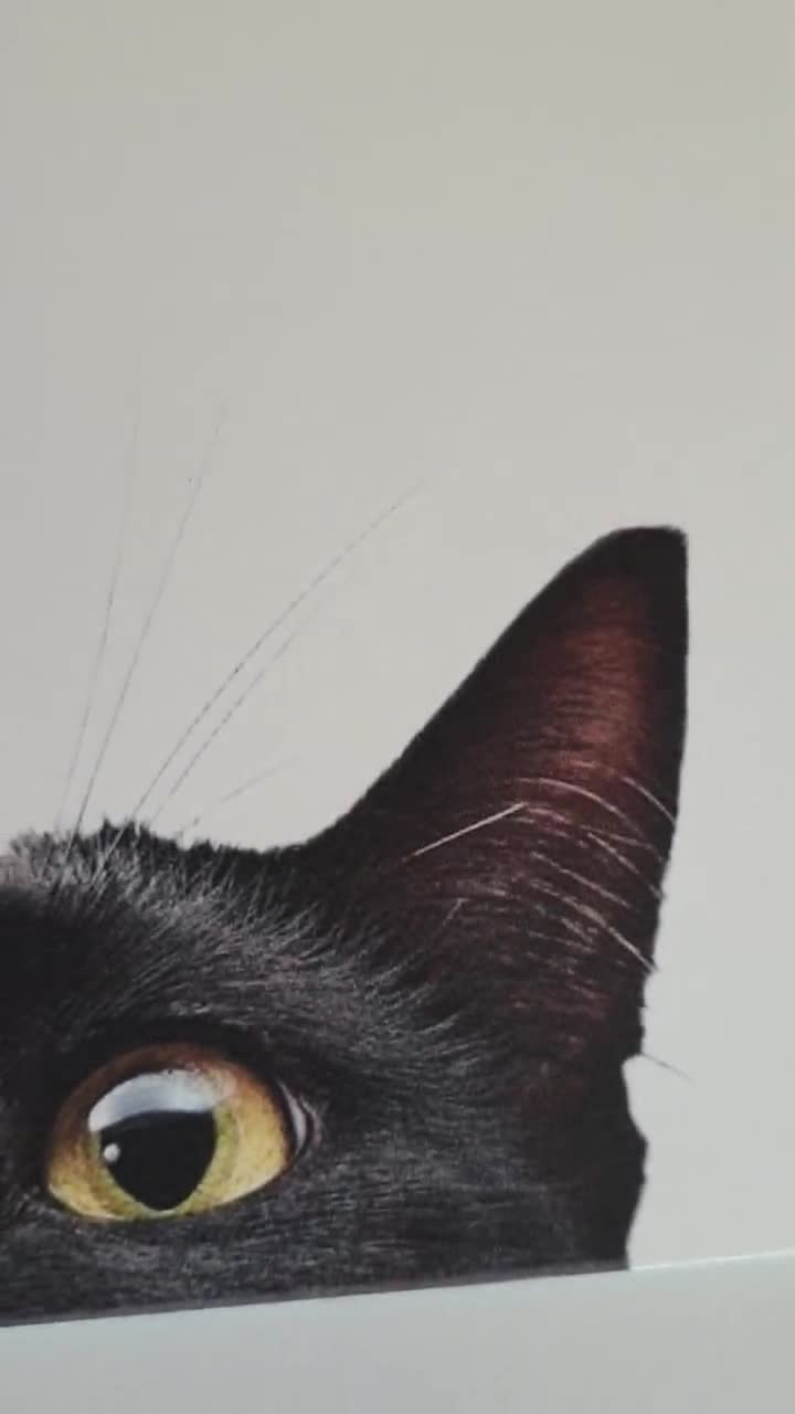 RuxandCip Carte d'anniversaire chat noir avec fleurs 2023 : :  Fournitures de bureau