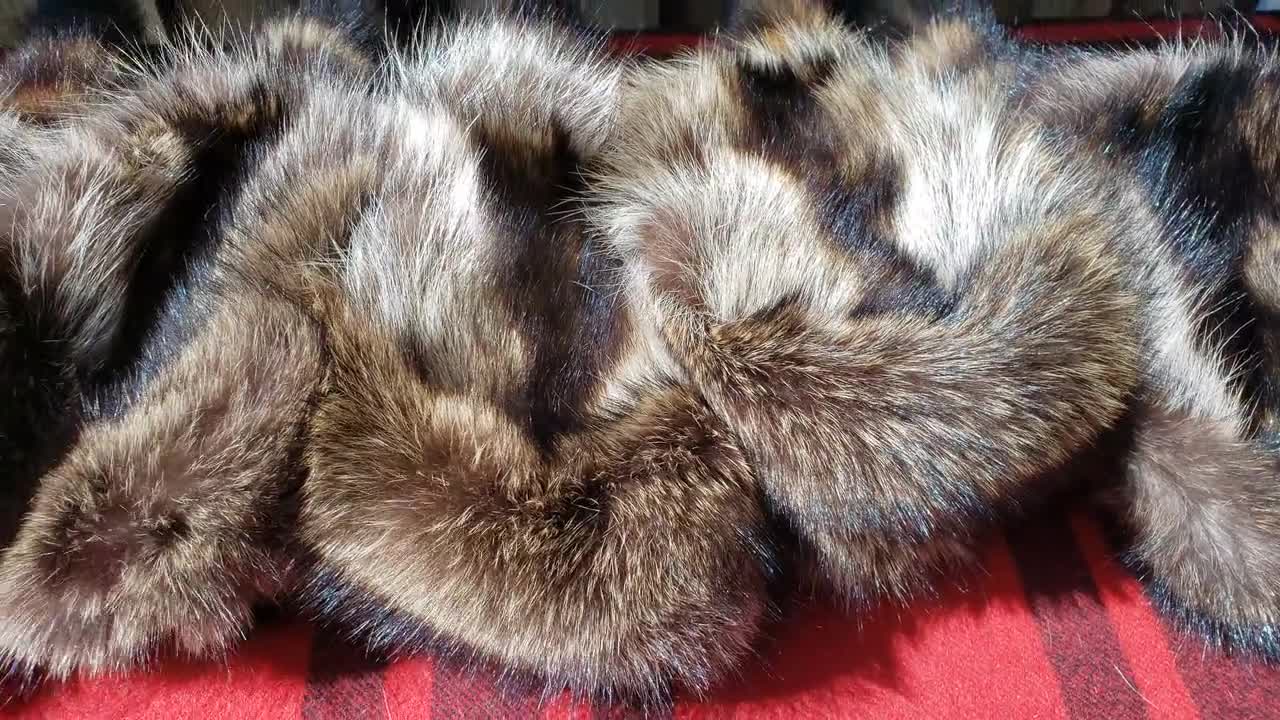 Raccoon Fur Hat - Davy Crockett Style video poster