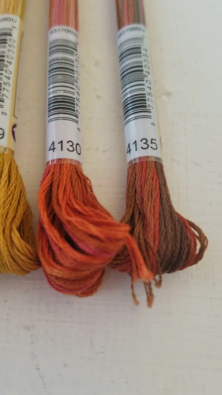 DMC Coloris Variegated Embroidery Floss 24 Color Collection 