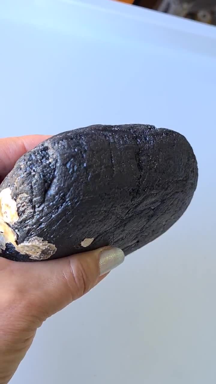  Sukh Roca de lava negra – Piedra de lava volcánica hortícola  para cactus suculentas, rellenos de jarrón de terrario, plantas de  jardinería de hadas, macizos de flores, piedra volcánica sin colorantes. 