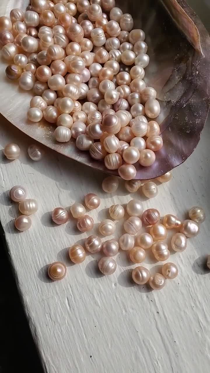 Natural Pearl's Loose, Real Pearl's, Clams Made These Pearls
