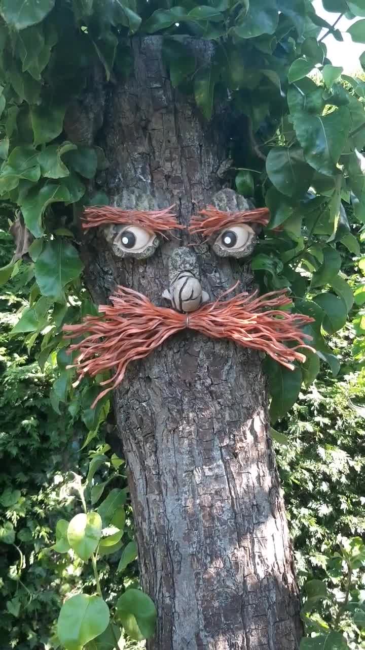 Decorazione del giardino con faccia d'albero, scultura da giardino all' aperto, statue, ornamenti, facce divertenti e divertenti, arte del giardino,  regali per giardinieri, regali da giardino -  Italia