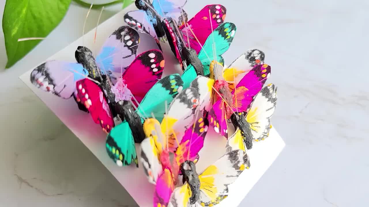 Papillons décoratifs sur fil plumes colorées 5,5×8cm  12pcs-16045