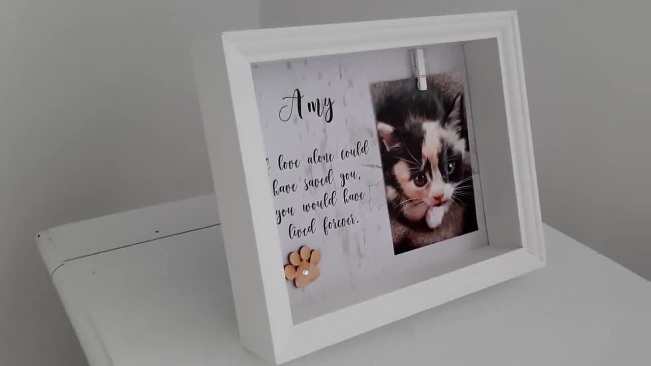 Urna personalizzata e cornice per foto Keepsake Remembrance Dog Passed Loss  Cat Lutto Pet Memorial Memorial Cremation Pet -  Italia