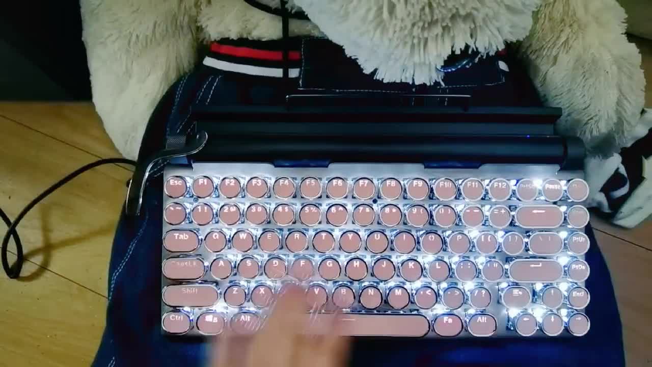 Clavier mécanique Steampunk Bluetooth sans fil ROSE fil pour ordinateur  iPad iPhone avec lumières 83 keycaps cadeau -  France