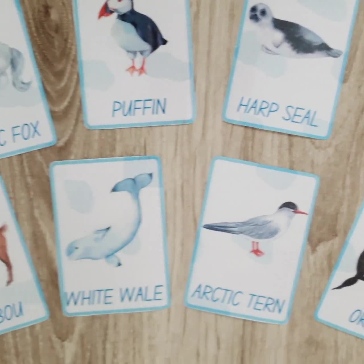 Preschool Arctic Animal Lacing Cards