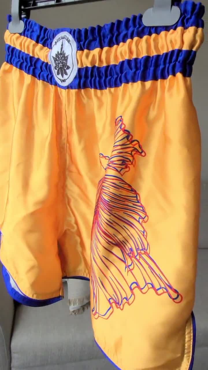 RSO Retro Muay Thai Shorts ORANGE