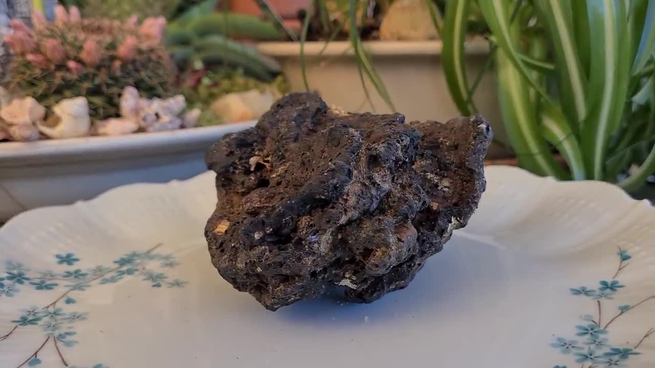 Porous Black Horticultural Lava Rocks, for terrarium drainage