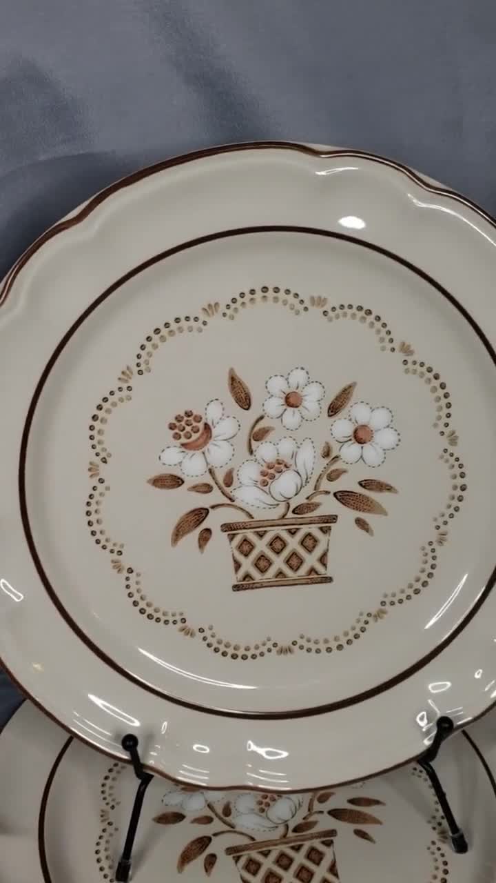 Hearthside Cumberland mayblossom Brown Set of 5 Dinner Plates 10 5/8 - Etsy