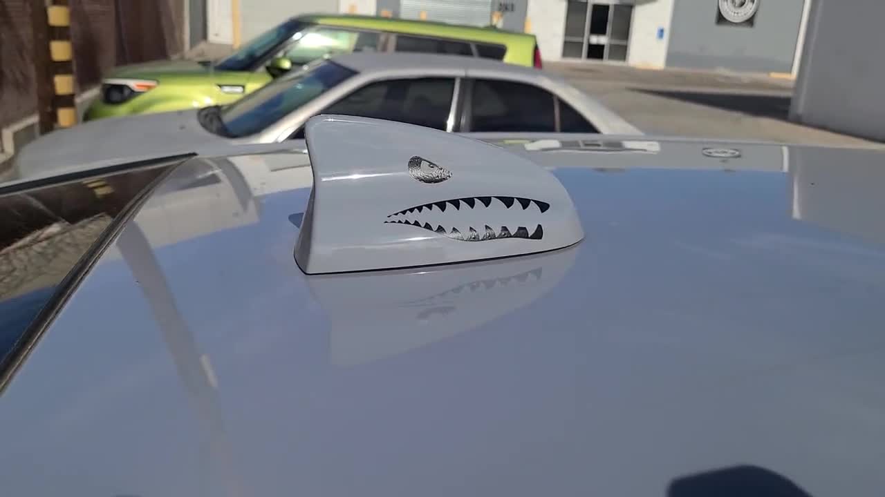 Antenna Shark Teeth Fin Vinyl Decal Fits Dodge Charger and Challenger Matte  Finish 