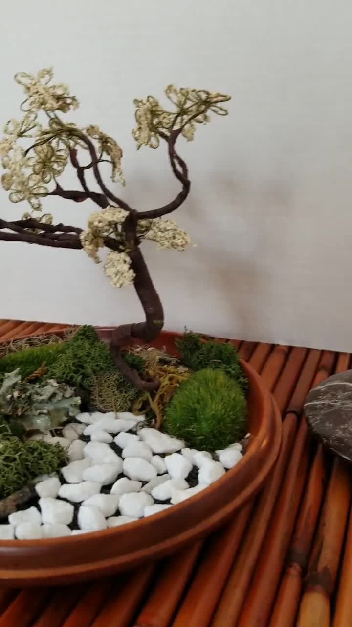 Zen Tabletop Garden Bonsai Style Rocks and Moss Indoor Garden Biophilic  Design Moss and Blooms Tspirit Art 