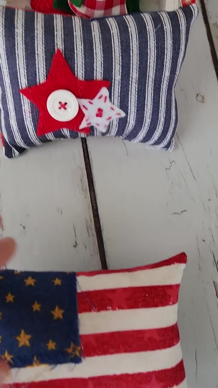 Red white and blue 10 inch pillow (pillow form not included)