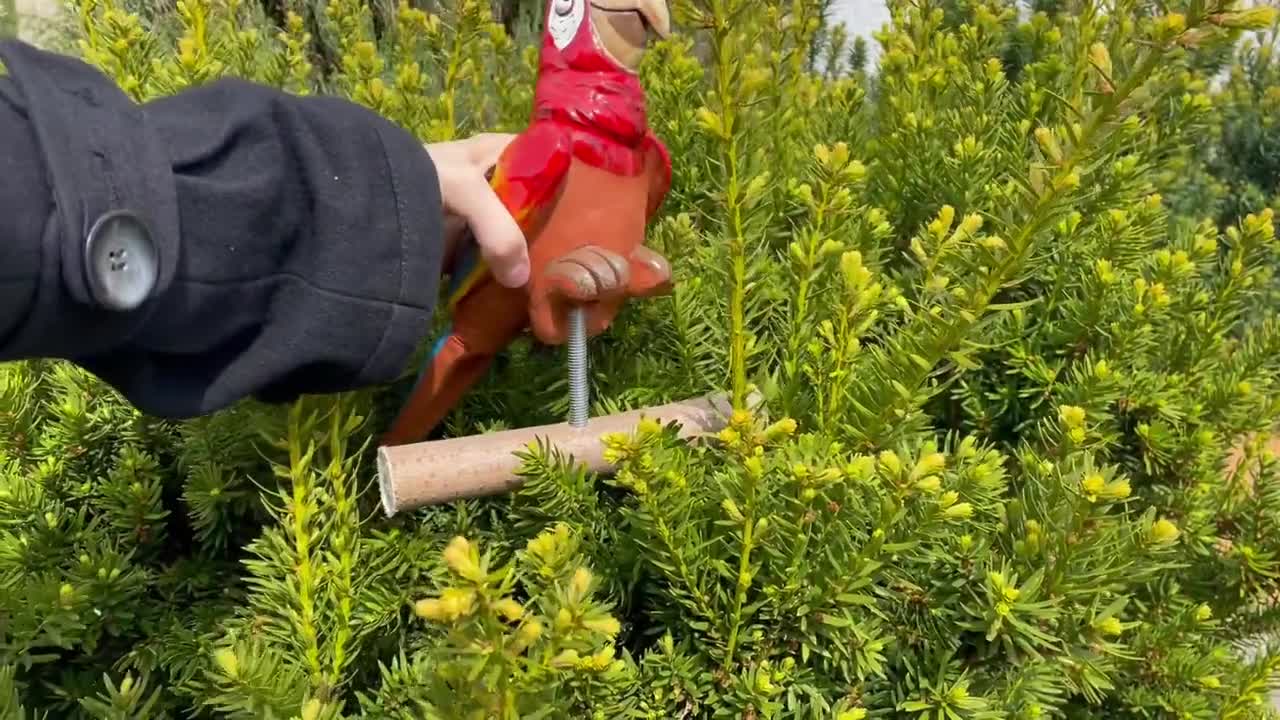 Ltg Donna Giardinaggio Pelle Lungo Guanti Spina Resistenza Giardino Fai  Lavoro