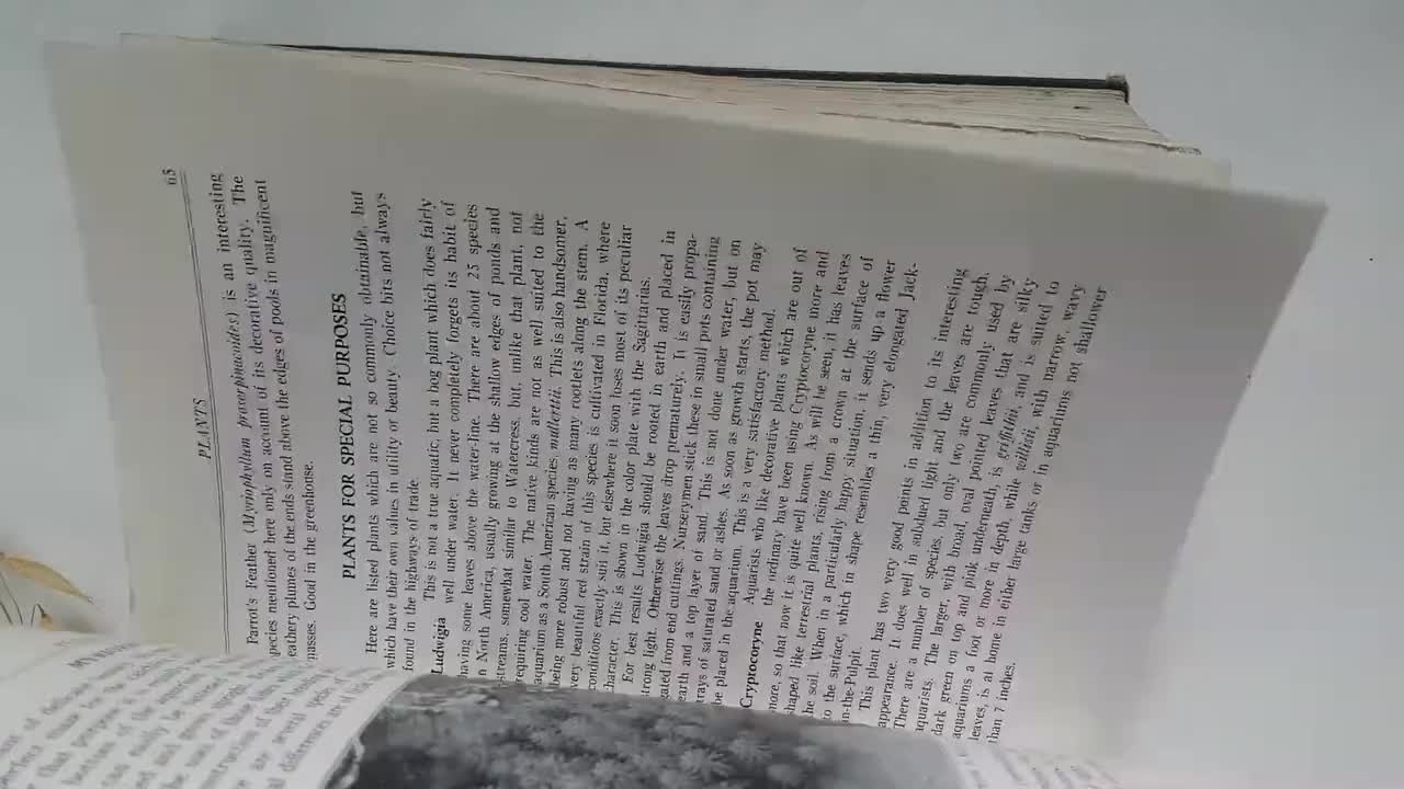 ADA 古い書籍 ヴィンテージ英語本エキゾチックな魚古いコレクター初版 1935 年