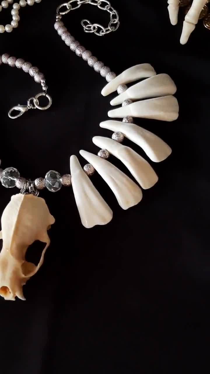 Mink Skull Necklace, Skull Necklace, Buffalo Tooth Necklace, Bone