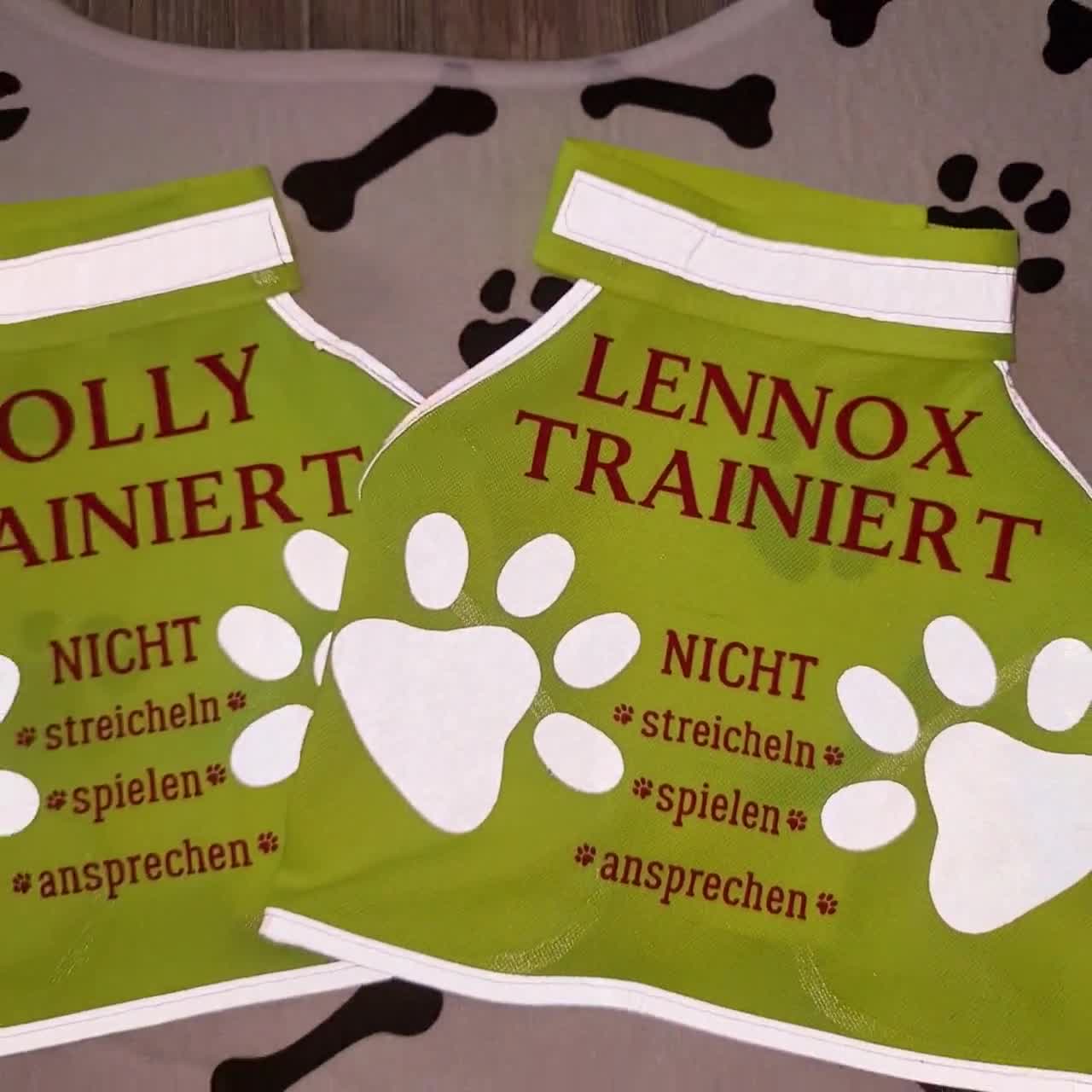 Personalisierte Hunde-Warnweste Hund im Training personalisiert - .de