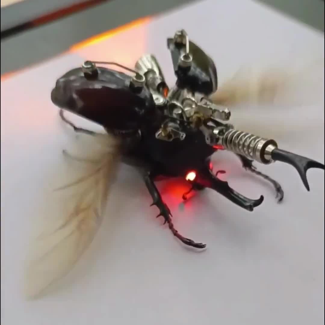 スチームパンク サイボーグ メカニカル ビートル 昆虫 虫 バイオメカ