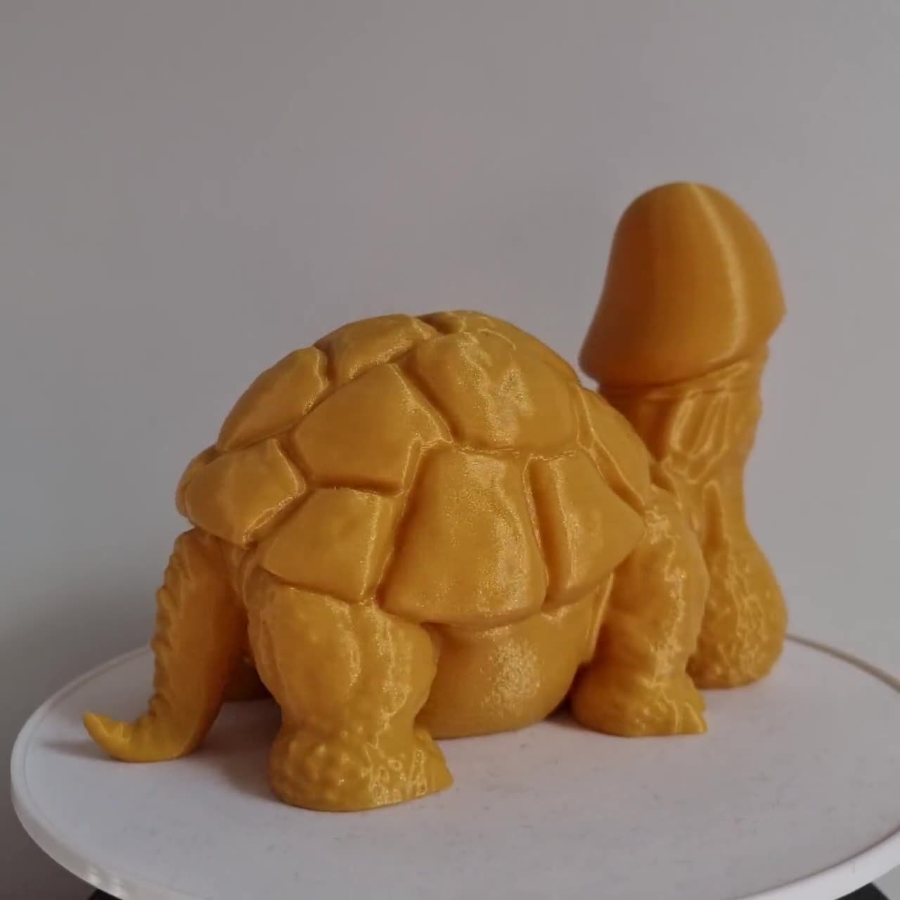 Tortuga Dicky, Adorno de tortuga, Tortuga pene, Tortuga divertida, Arte del  pene, Escultura del pene, Regalo de mordaza del pene, Regalo de cumpleaños,  Regalo, NSFW