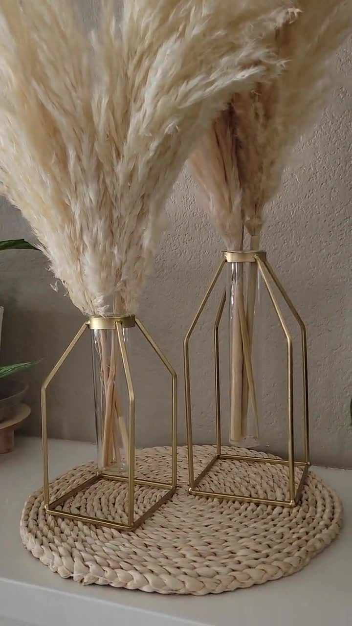 SET: Metallic Gold Caged Vases 3 XL Pampas Grass Stems 5 Small Cream Pampas  Boho Decor Wedding Centerpiece 