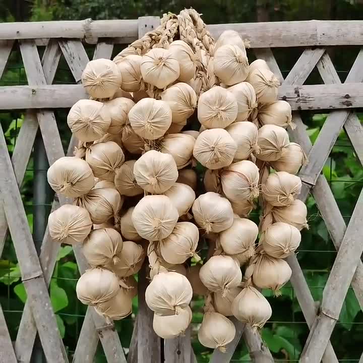 Acquista Schiuma di frutta artificiale, mais, pepe, aglio, decorazione per  la casa