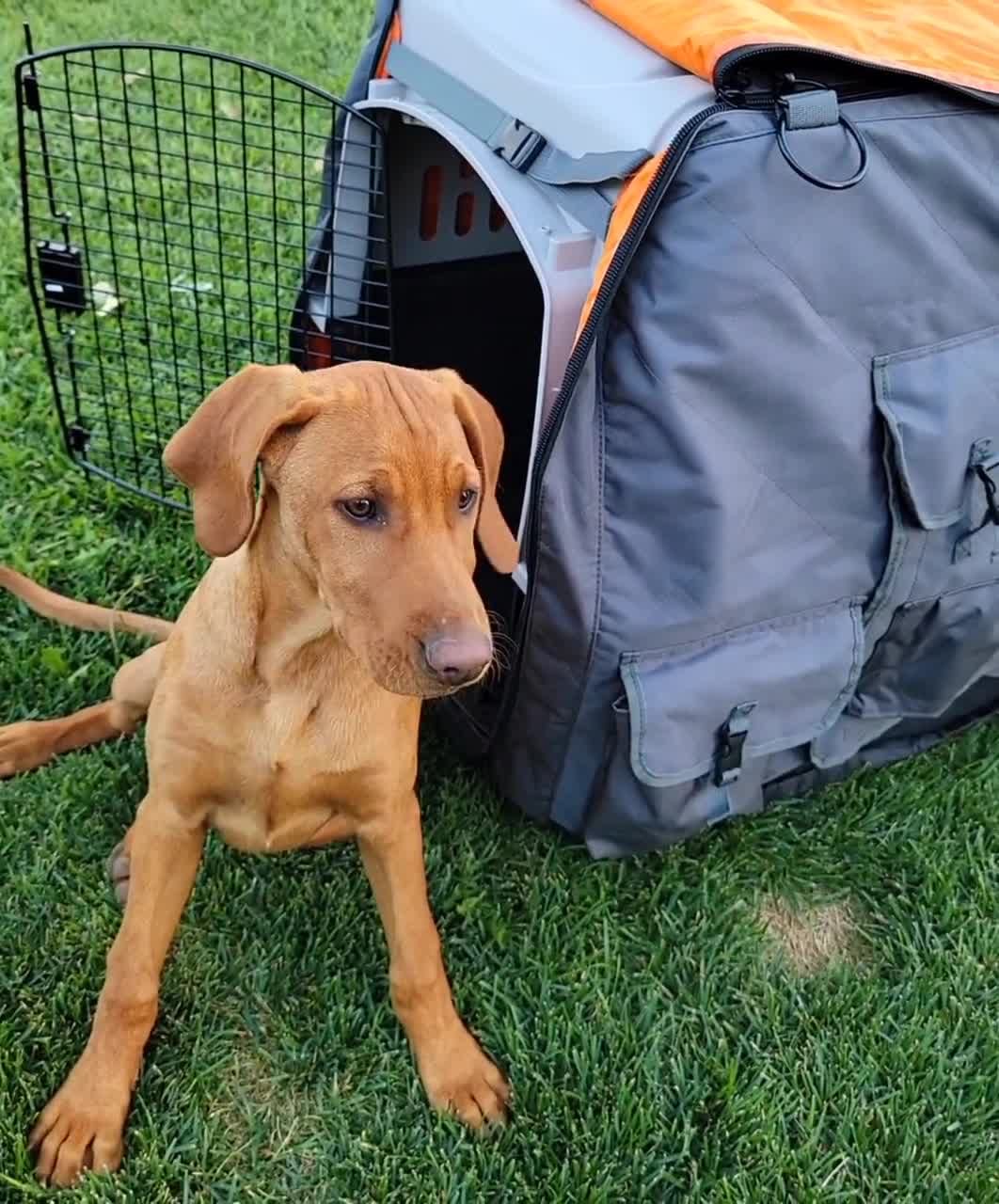 Gunner kennel outlet insulated cover