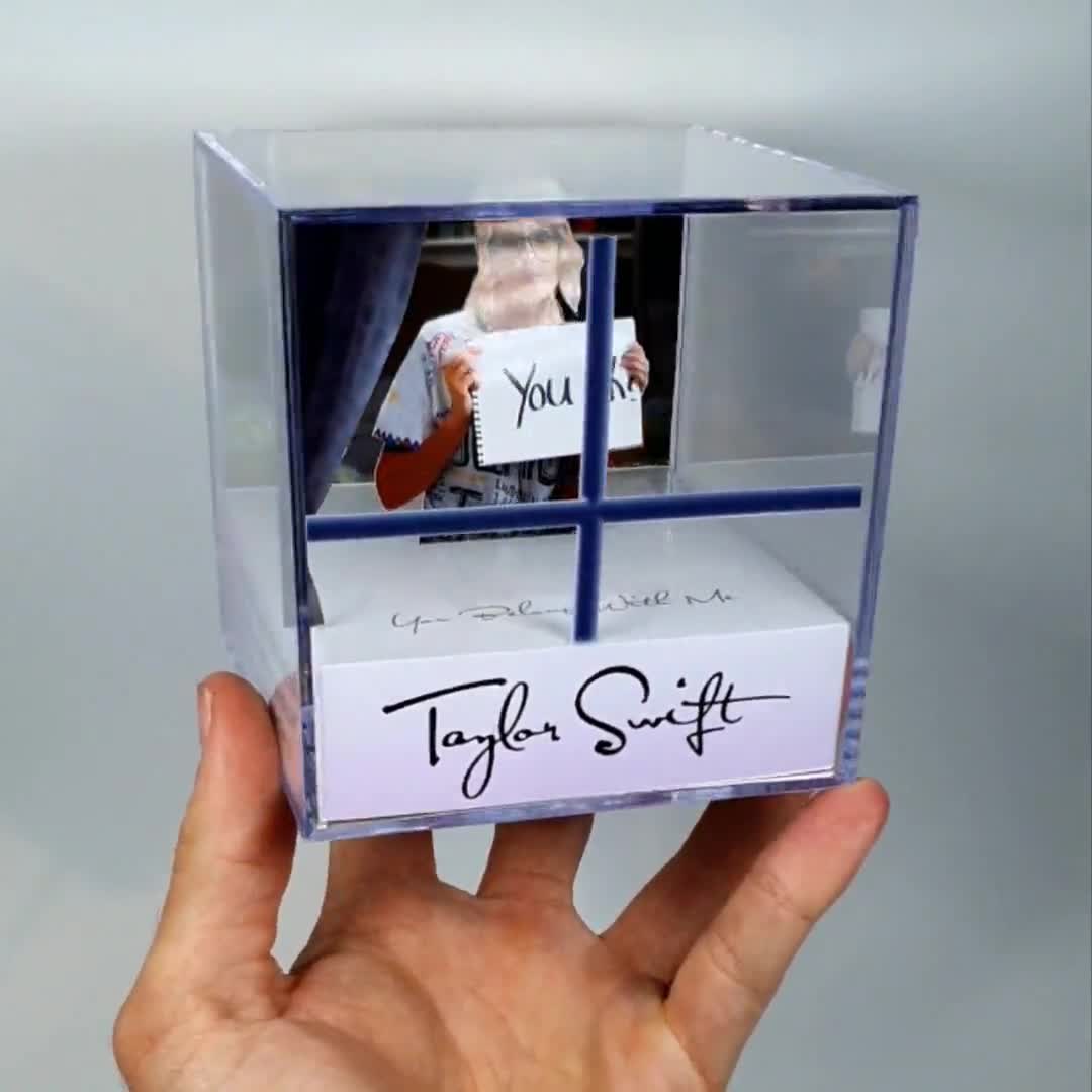 Taylor Swift You Belong With Me Diorama Cube With Sound and LED