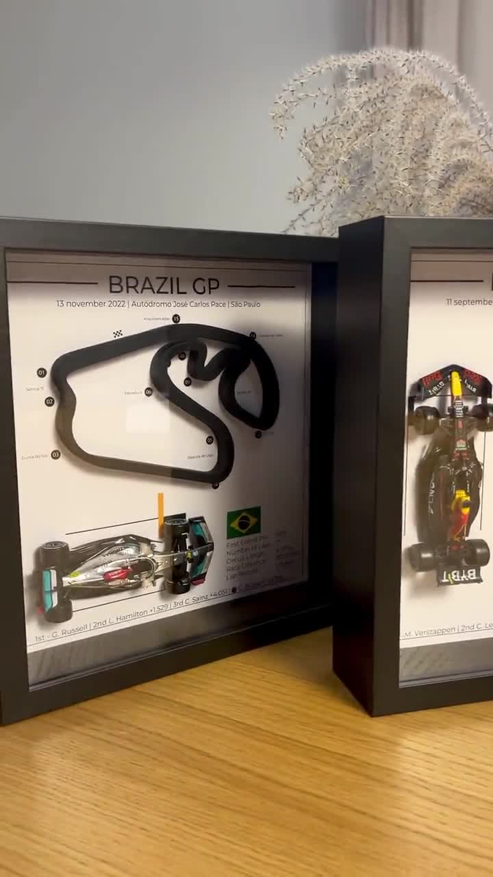 F1 DUTCH GP Zandvoort 2022 Frame With the Winning Car | F1