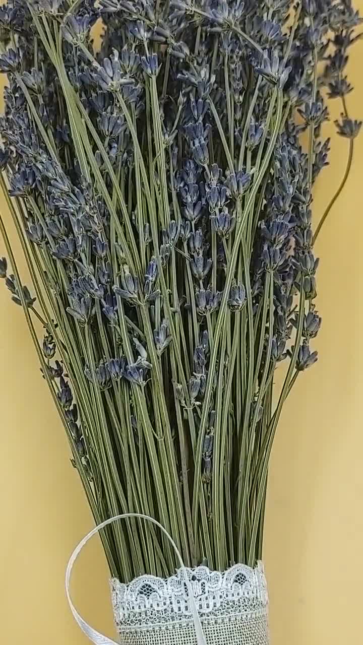 Dried Lavender Bundle/bunch/bouquet 2023 Harvest Tall French