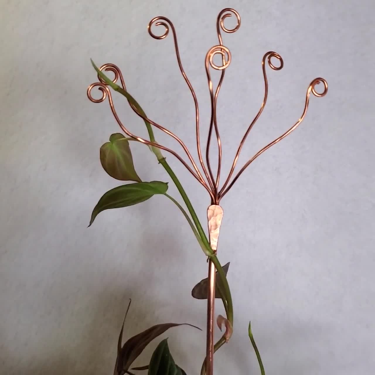 Copper Plant Stick, Multiple Options, Unique Plant Stakes