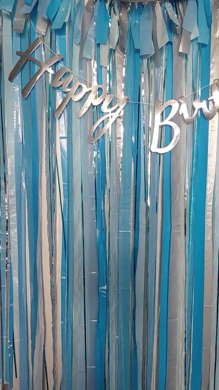 50pcs Sky Blue Streamers Party Decorations Blue Streamer Backdrop 24 Colors  Fringe Backdrop for Parties Blue Birthday Party Streamers Decorations