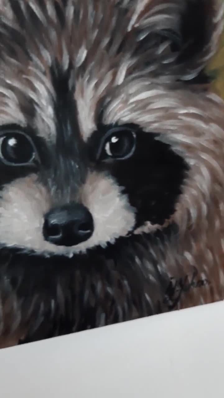 Raccoon in a Tree - Original Painting - 8x10 – Kim Everhard Art