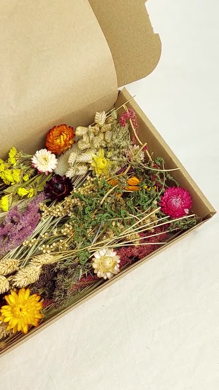 Dengmore Natural Dried Flowers Combination DIY Dry Flower