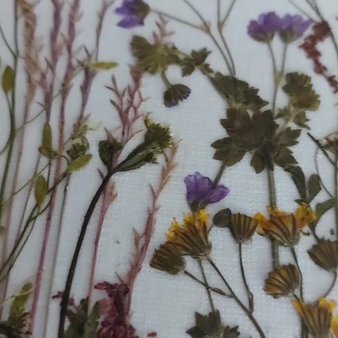 My new handmade oshibana -> Real pressed and dried flowers in frame.  Handpicked flowers, pressed and dried for weeks, arranged in one-a-kind  floral decor. Enjoy! : r/somethingimade