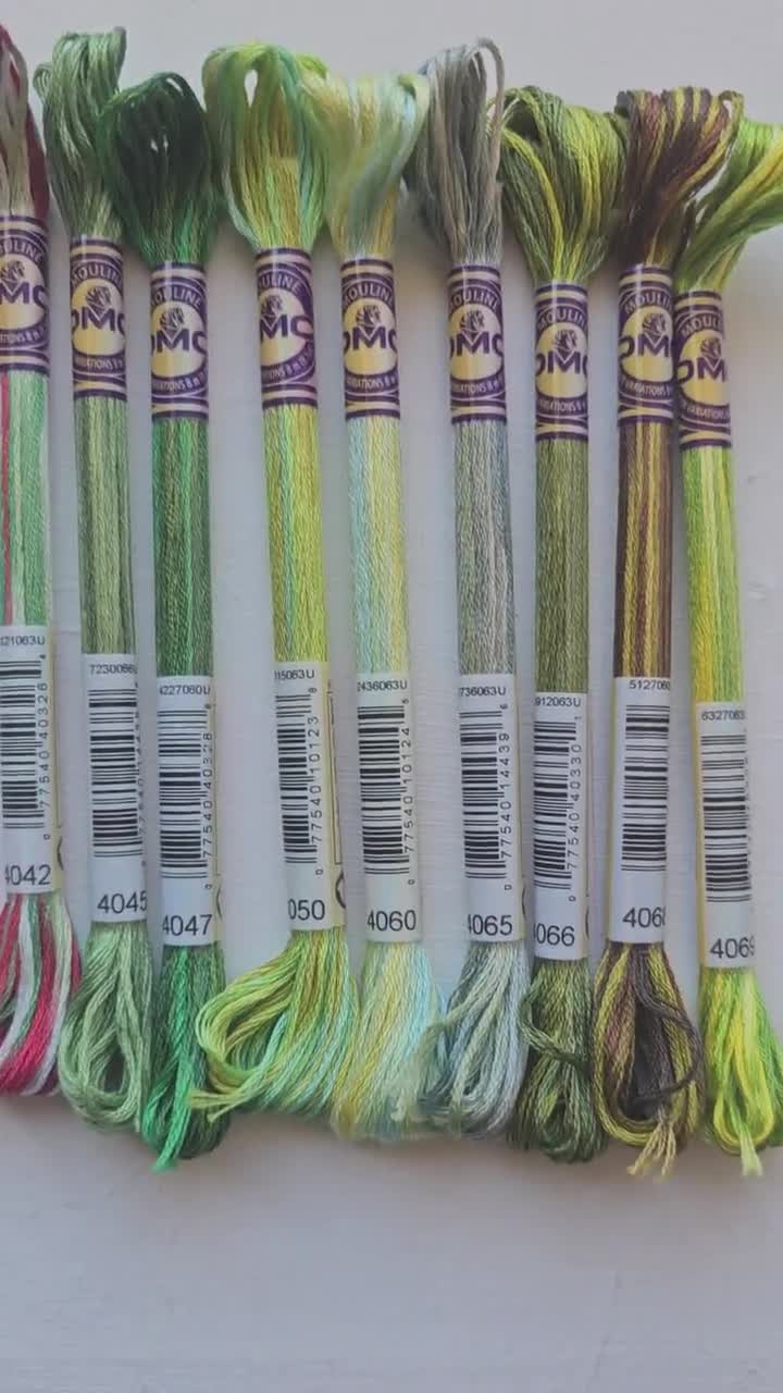 DMC Color Variations Cotton Embroidery Floss 