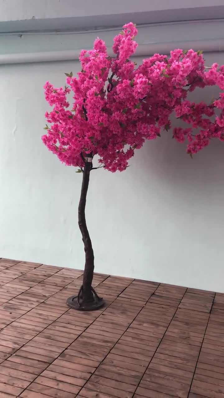 Cherry Blossom Balcony Backdrop