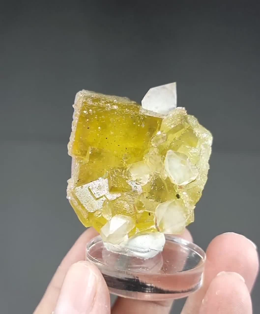 Natural Yellow Fluorite outlet Quartz Hand Carved Grapes Specimen Crystal Gift 4.9'' HH219