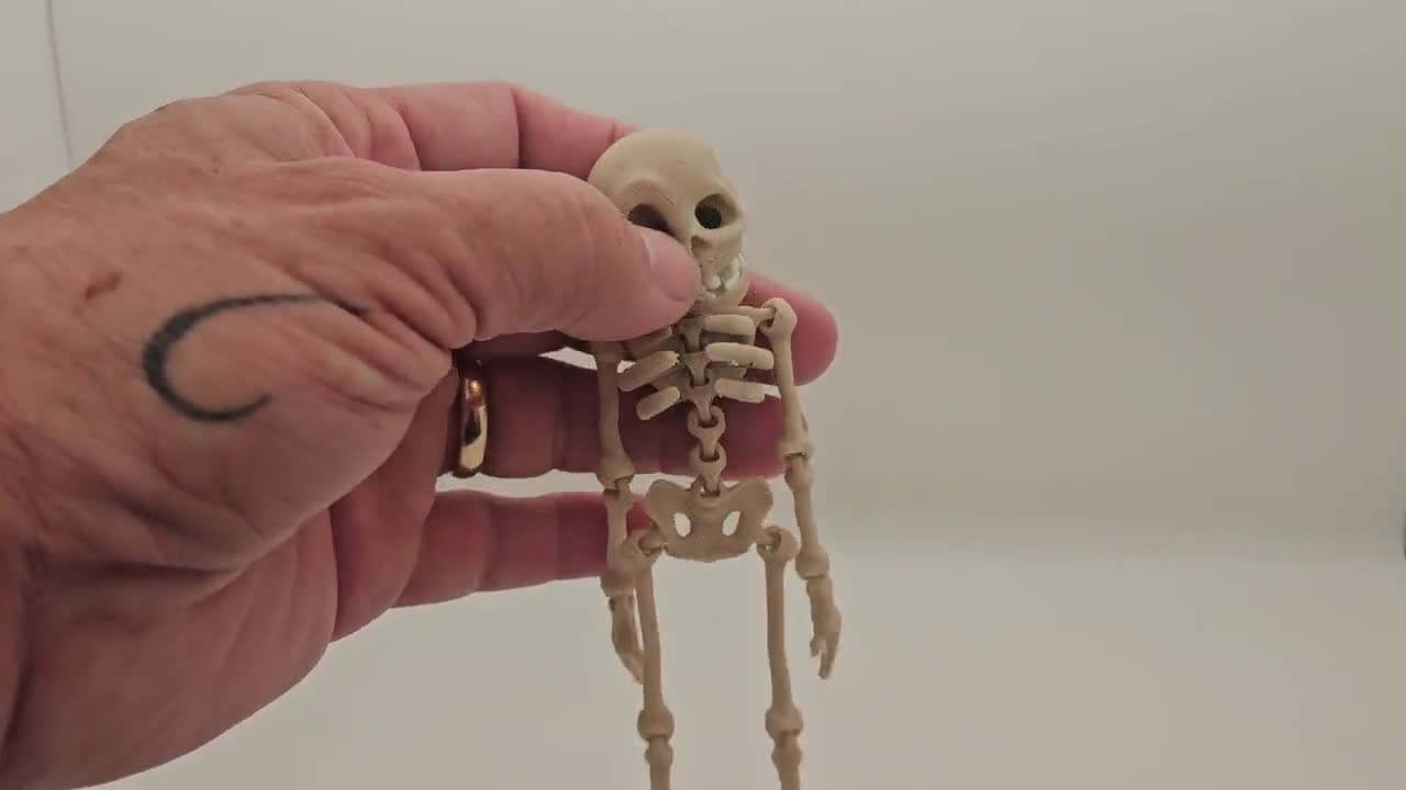 Miniature Tyrannosaurus Skeleton Toy - Pose Skeleton Dinosaur by Re-Ment -  YouTube