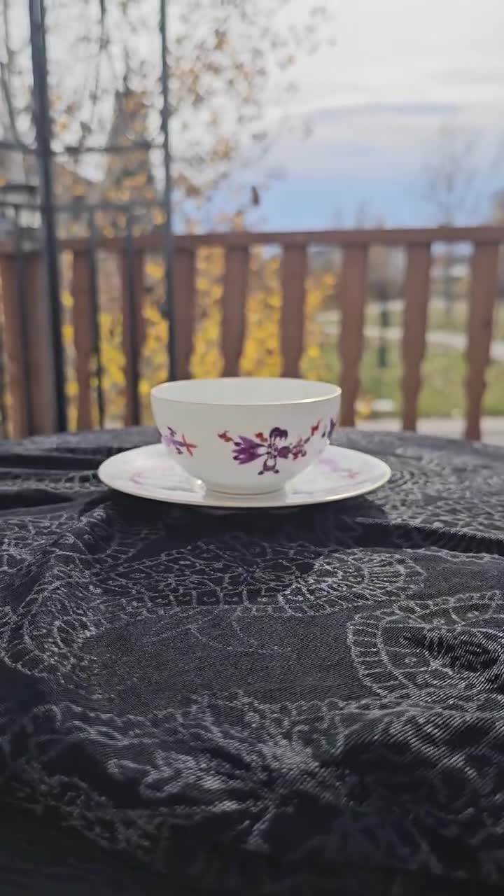 Friedrich Kaestner Saxonia Dresden Meissen FPO14 Purple Dragon Tea