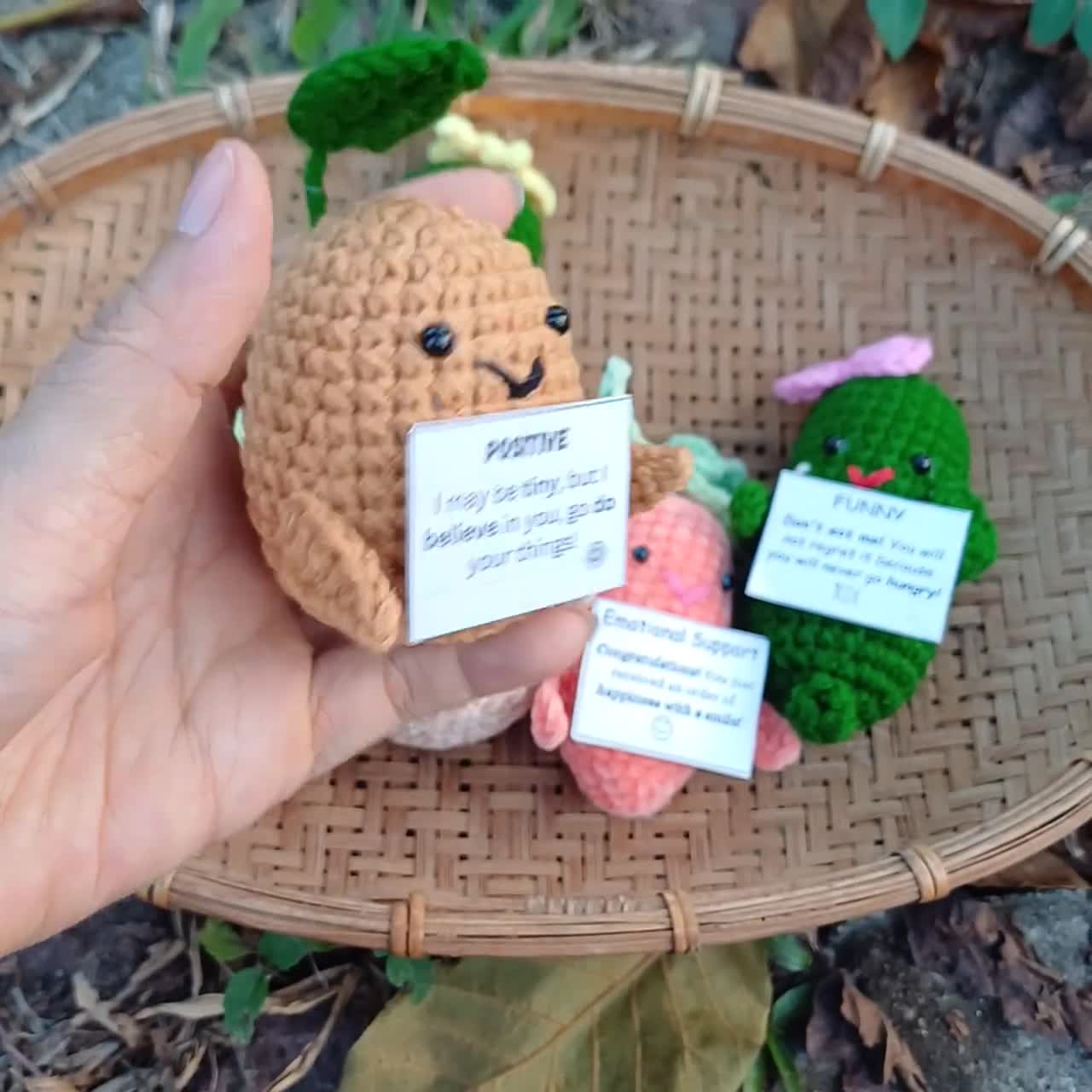 Custom Text Available) Crochet Emotional Support Plushies - Emotional Support  Pickles, Positive Potato Over the Hill Stress Relief Dill with Challenges  Encouraging Gift – The Bloom Crafter