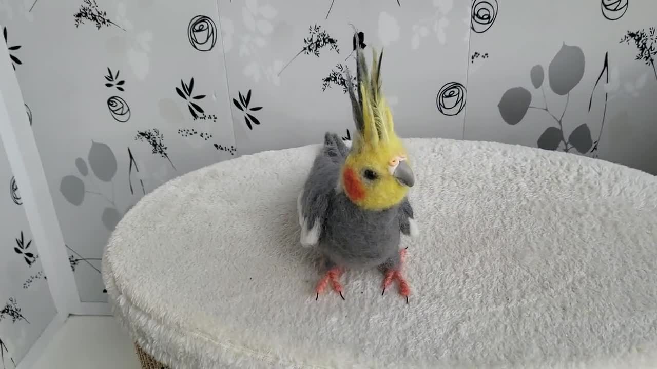オカメインコ 羊毛フェルト - リアルサイズ ルチノ－ 濃赤目 鳥の