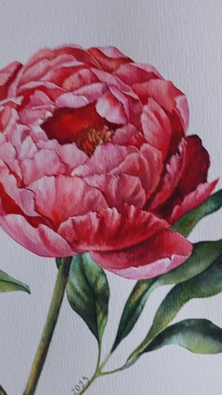 オリジナル水彩画、珊瑚牡丹の壁アート、ピンクの牡丹の絵画、花の壁