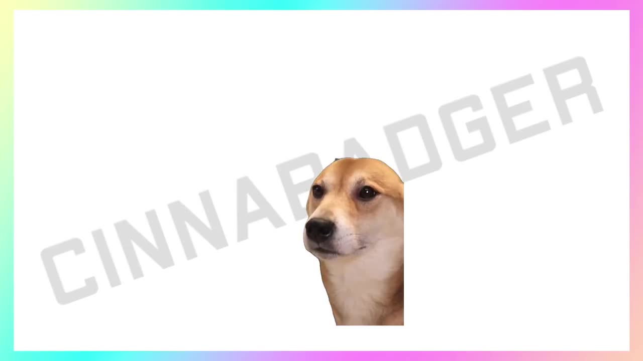 Transparent Background Doge Dog Jam stream decoration with Sound for  Channel Rewards and Cheer Redeems for Content Creators using OBS, image size:1280x720