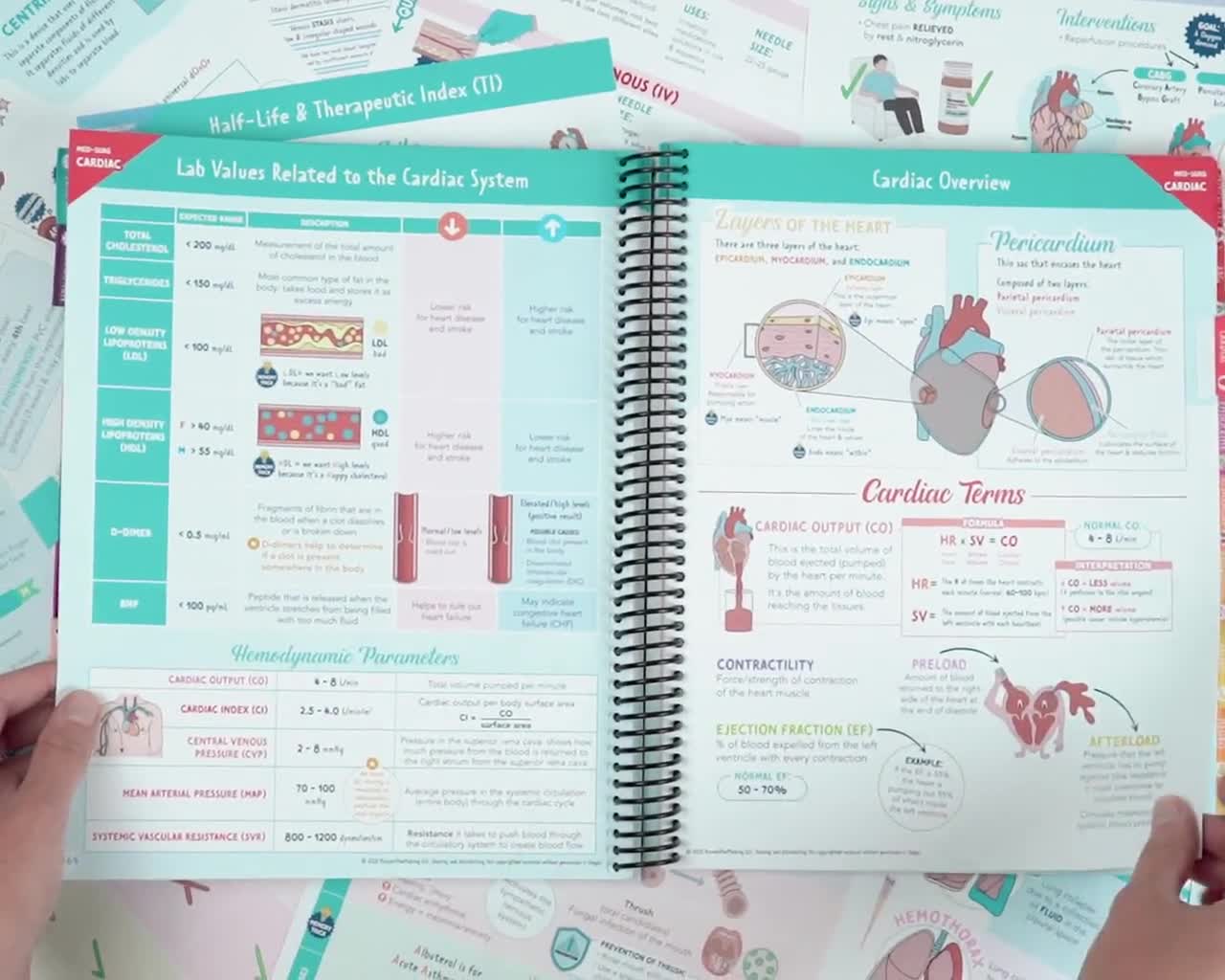 The Complete Nursing School Bundle 2024 Edition PRINTED SHIPPED