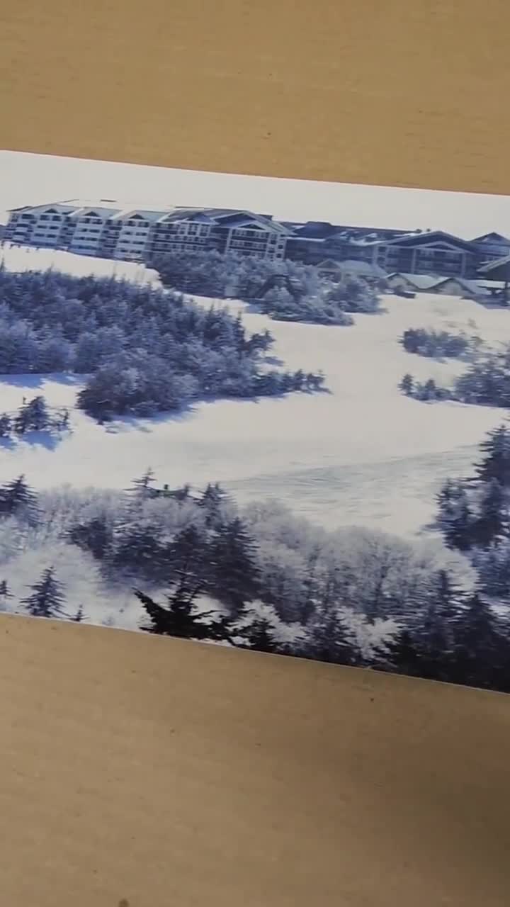 Snowshoe West Virginia Snowboard Art Print on Wood | Gifts for