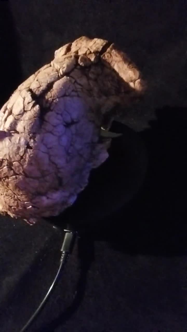 トゥマイ頭蓋骨 樹脂入りサヘラントロプス・チャデンシス マックス