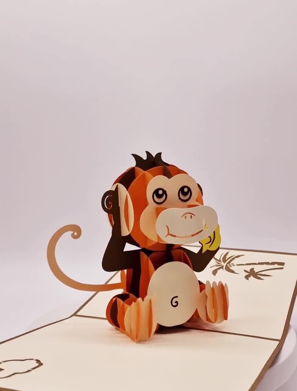Tarjetas: Fotografías De Animales (teacher Made