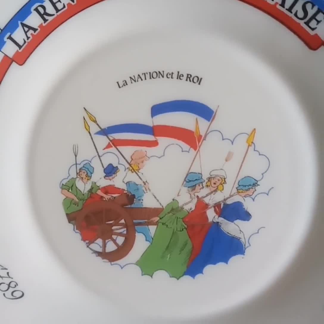 Lot de 5 assiettes de table ARCOPAL motif révolution francaise vintage