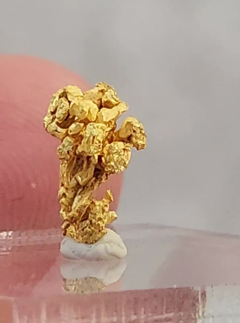 樹枝状ワイヤー金天然金結晶標本 - カリフォルニア州エルドラド郡