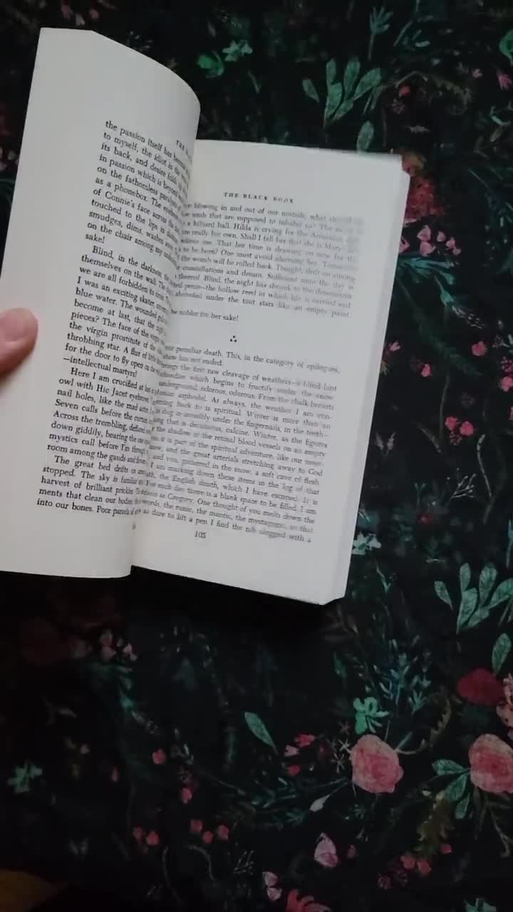 The Black Book vonLawrence Durrell, 1995 video poster